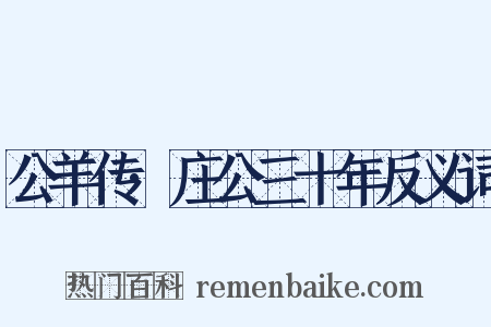 公羊传·庄公三十年反义词是什么意思的图片
